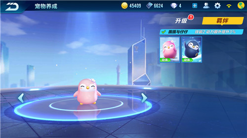 04.jpg